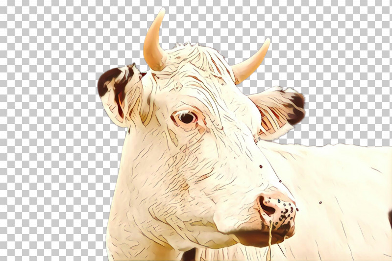 Horn Bovine Head Snout Dairy Cow PNG, Clipart, Bovine, Bull, Cowgoat Family, Dairy Cow, Ear Free PNG Download