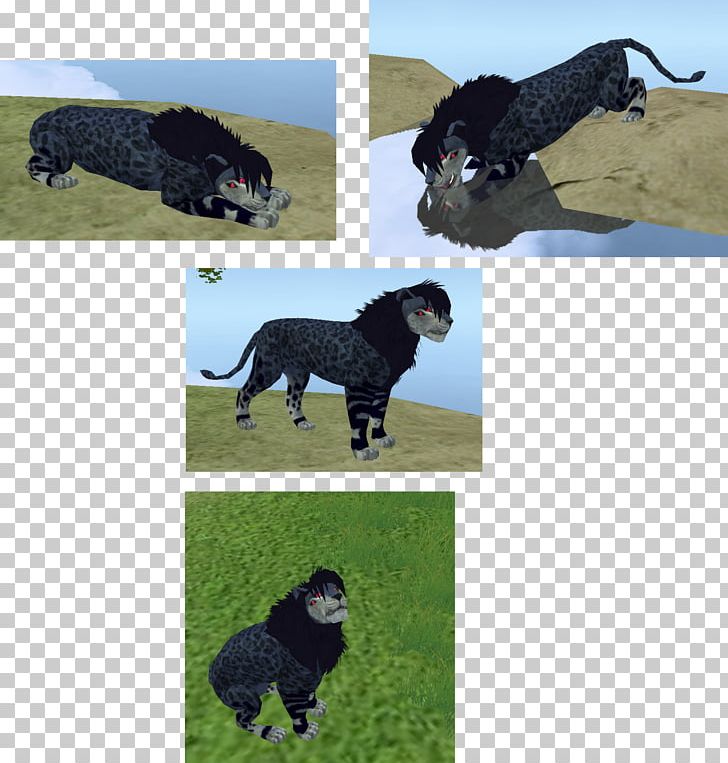 Dog Breed Portuguese Water Dog Spanish Water Dog Sporting Group PNG, Clipart, Breed, Carnivoran, Crossbreed, Dog, Dog Breed Free PNG Download