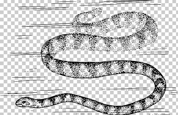 Rattlesnake Vipers Boa Constrictor PNG, Clipart, Animals, Black And White, Boa Constrictor, Boas, Cobra Free PNG Download