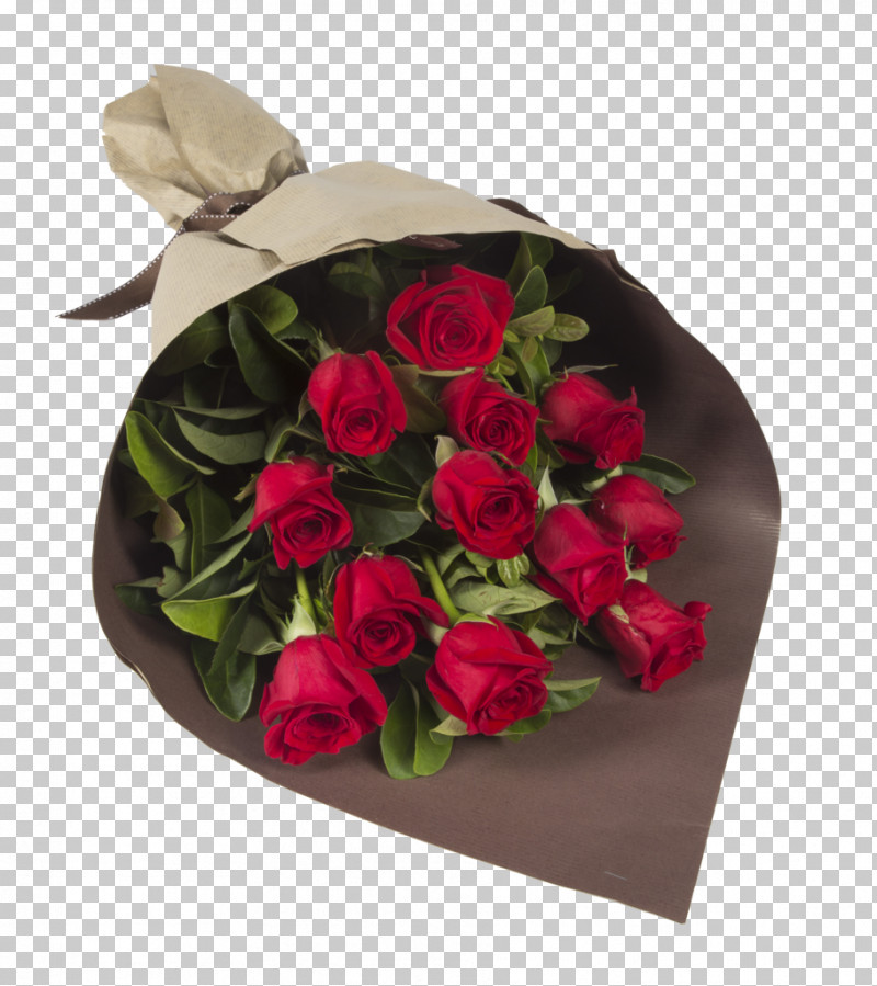 Garden Roses PNG, Clipart, Anthurium, Artificial Flower, Begonia, Bouquet, Camellia Free PNG Download
