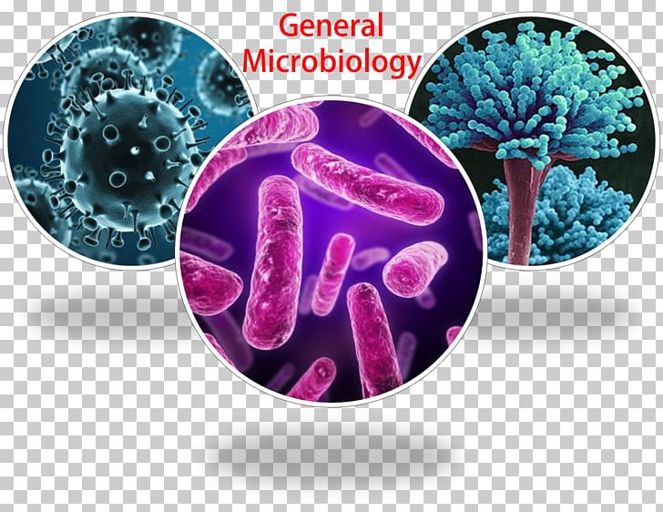 General Microbiology Microbial Genetics Microorganism Pharmaceutical Microbiology PNG, Clipart, Biology, Cairo, Infection, Microbial Genetics, Microbiology Free PNG Download