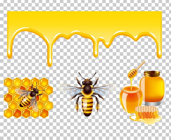 Honey Bee Honey Bee PNG, Clipart, Bee, Bee Hive, Bees, Bees Honey, Bees Vector Free PNG Download