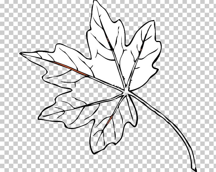 Maple Leaf Yellow Autumn Leaf Color PNG, Clipart, Area, Autumn, Black And White, Branch, Drawing Free PNG Download