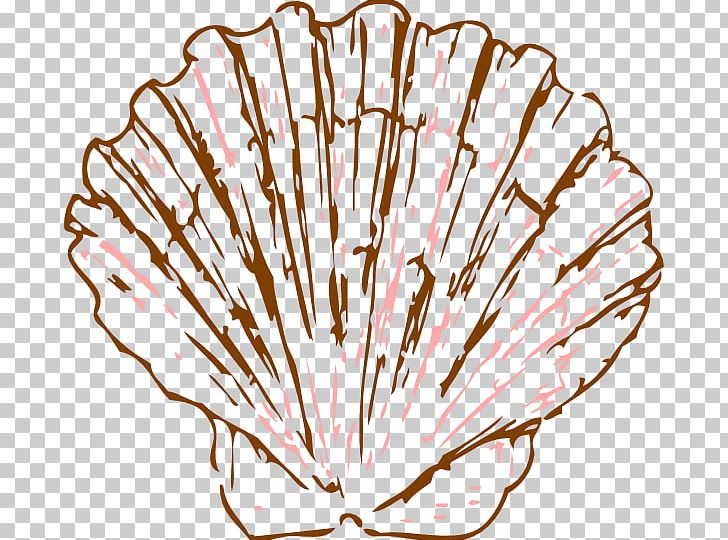 Seashell Pectinidae Drawing Mollusc Shell PNG, Clipart, Animals, Argonaut, Clip Art, Computer Icons, Conch Free PNG Download