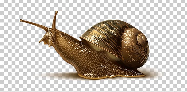 Snails & Slugs Stylommatophora PNG, Clipart, Animal, Animals, Banana Slug, Drawing, Human Body Free PNG Download