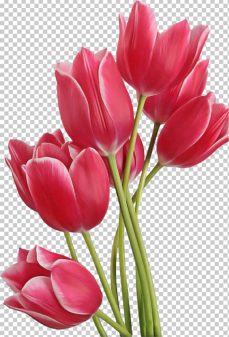 Artificial Flower PNG, Clipart, Artificial Flower, Bud, Crocus, Cut Flowers, Flower Free PNG Download