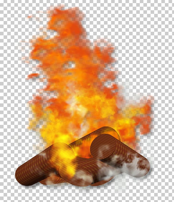 Flame Fire Conflagration /m/02_41 PNG, Clipart, Advertising, Campfire, Conflagration, February, Fire Free PNG Download
