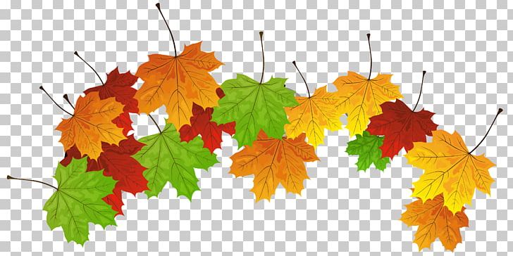 Leaf PNG, Clipart, Autumn, Branch, Desktop Wallpaper, Download, Leaf Free PNG Download