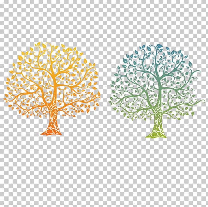 Family Tree Tree Of Life Drawing PNG, Clipart, Area, Autumn Tree, Branch, Child, Christmas Tree Free PNG Download