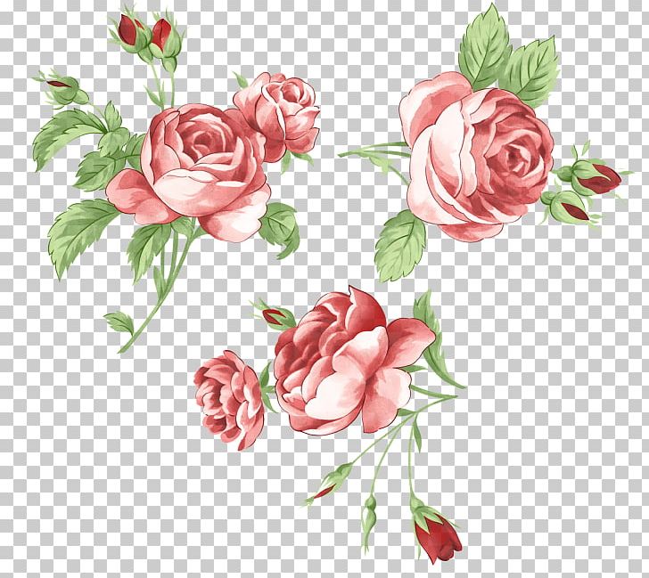 Garden Roses Frames Flower Sticker PNG, Clipart, Art, Blog, Branch, Cut Flowers, Flora Free PNG Download