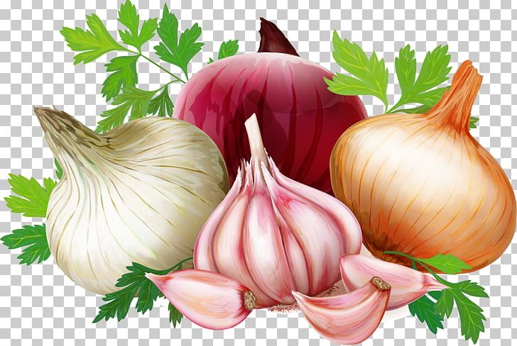 Welsh Onion French Onion Soup Red Onion Graphics Vegetable PNG, Clipart, Food, Food Drinks, French Onion Soup, Garlic, Ingredient Free PNG Download