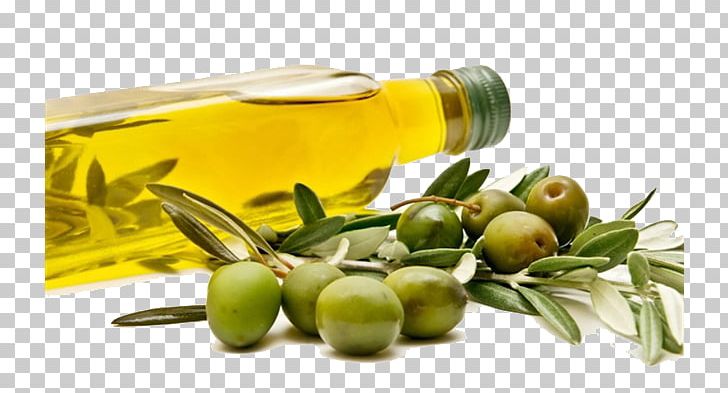 Food Eating Fat Olive Oil Lipid PNG, Clipart, Branch, Cooking, Cooking Oil, Diet, Food Drinks Free PNG Download
