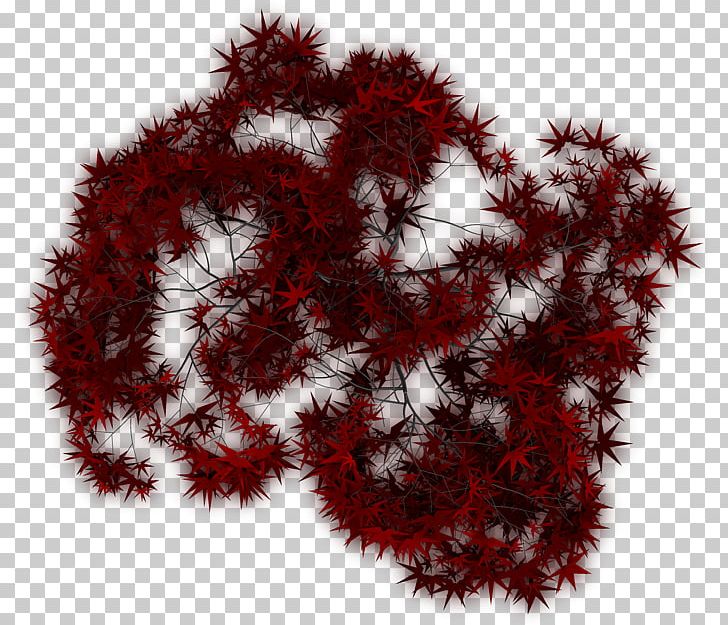 Fur Tree PNG, Clipart, Fur, Nature, Red, Tree Free PNG Download