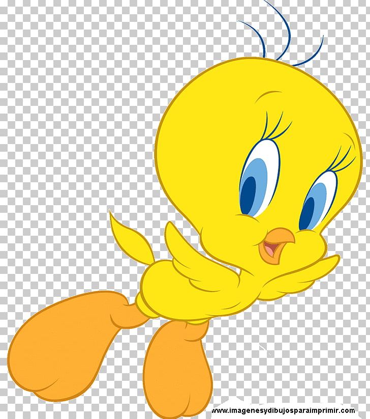 Tweety Bird Sylvester Looney Tunes PNG, Clipart, Animals, Animation, Art, Artwork, Beak Free PNG Download