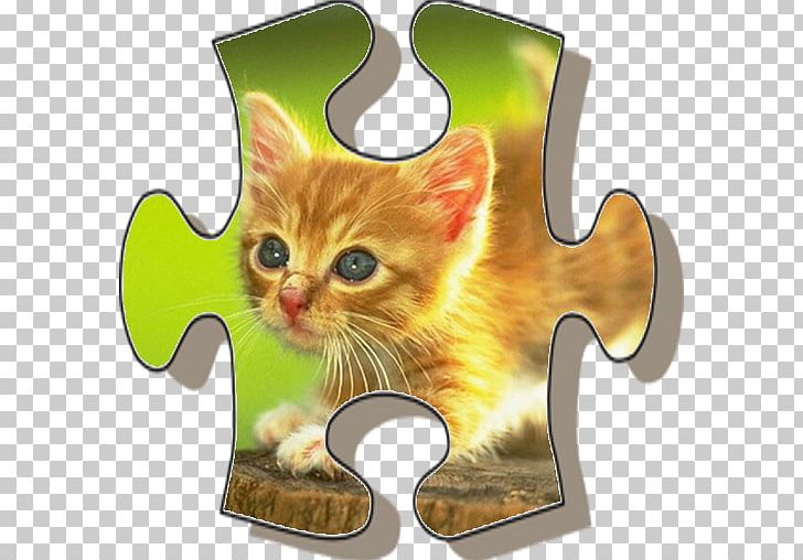 Cat Kitten Desktop PNG, Clipart, Animals, Carnivoran, Cat, Cat Like Mammal, Cute Free PNG Download