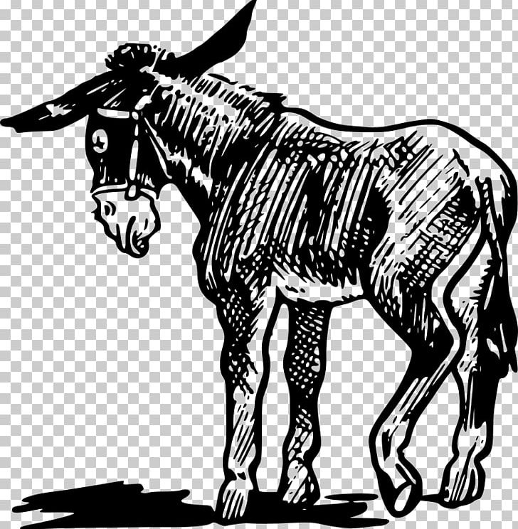 Donkey PNG, Clipart, Animals, Art, Black And White, Cattle Like Mammal, Donkey Free PNG Download