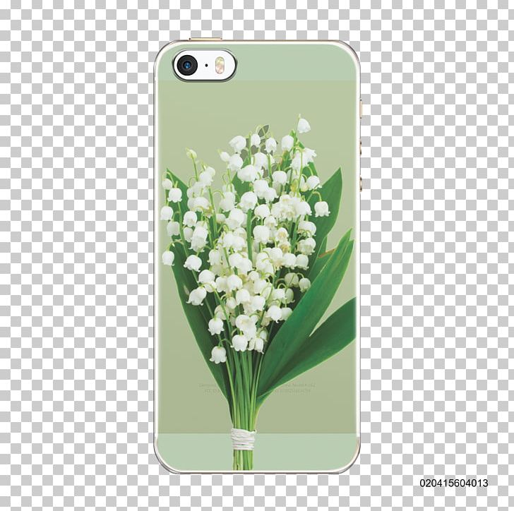 Lily Of The Valley Flower Stock Photography PNG, Clipart, 123rf, Convallaria, Flower, Flower Delivery, Grass Free PNG Download