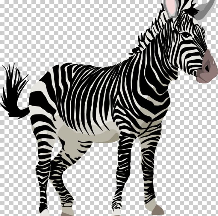 Zebra Horse Portable Network Graphics Pillow PNG, Clipart, Animal, Animal Figure, Animals, Black And White, Decorative Arts Free PNG Download