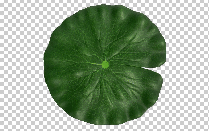Leaf Green Flower Plant Symbol PNG, Clipart, Annual Plant, Flower, Green, Leaf, Perennial Plant Free PNG Download
