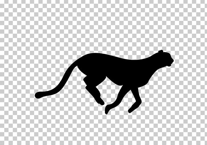 Cheetah Felidae Leopard Cat PNG, Clipart, Animal, Animals, Big Cats, Black, Carnivoran Free PNG Download