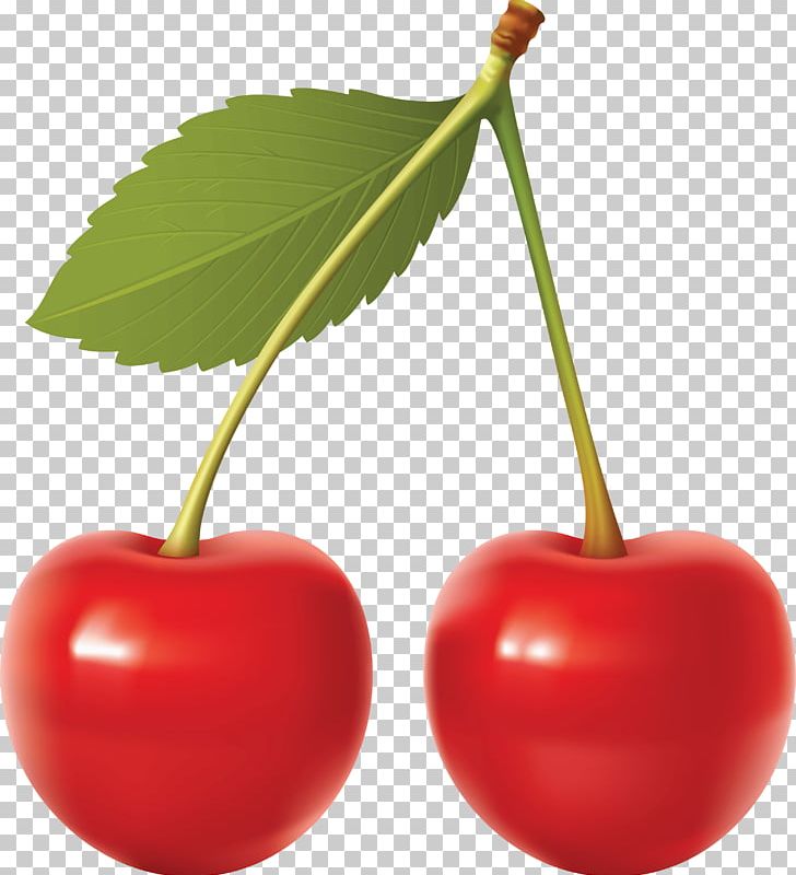 Cherry PNG, Clipart, Cartoon, Cherry, Clip Art, Download, Drawing Free PNG Download