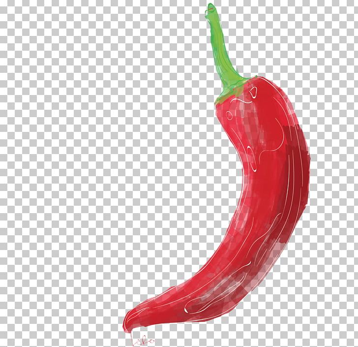 Habanero Serrano Pepper Tabasco Pepper Bird's Eye Chili Cayenne Pepper PNG, Clipart,  Free PNG Download