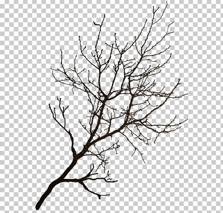 Branch Tree Winter PNG, Clipart, Black And White, Branch, Data Compression, Flora, Flower Free PNG Download