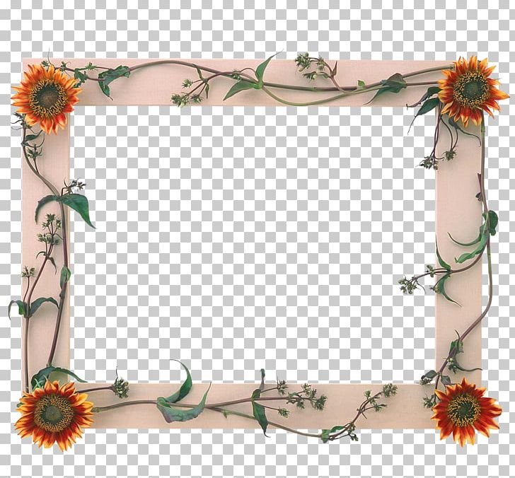 Frames Photography PNG, Clipart, Artificial Flower, Border, Bordiura, Clip Art, Desktop Wallpaper Free PNG Download