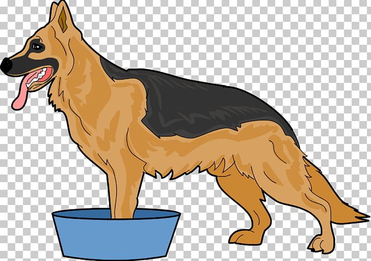 German Shepherd Dog Breed Paw Breed Group (dog) Snout PNG, Clipart, Atopic Dermatitis, Breed, Breed Group Dog, Carnivoran, Cure Free PNG Download