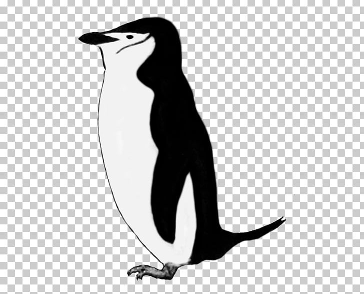 King Penguin Emperor Penguin Royal Penguin PNG, Clipart, Animals, Art, Beak, Bird, Black And White Free PNG Download