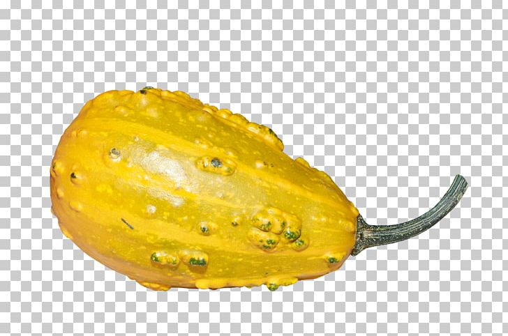 Calabaza Pumpkin Horned Melon Gourd Winter Squash PNG, Clipart, Citron, Corn On The Cob, Cucumber Gourd And Melon Family, Cucurbita, Euclidean Vector Free PNG Download