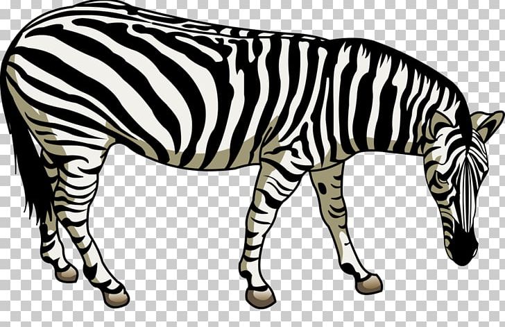 Quagga Horse Zebra PNG, Clipart, Animal, Animals, Art, Black And White, Cartoon Zebra Crossing Free PNG Download