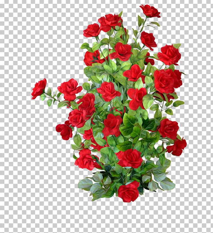 Shrub Plant Beach Rose PNG, Clipart, Annual Plant, Artificial Flower, Carnation, Cut Flowers, Desktop Wallpaper Free PNG Download