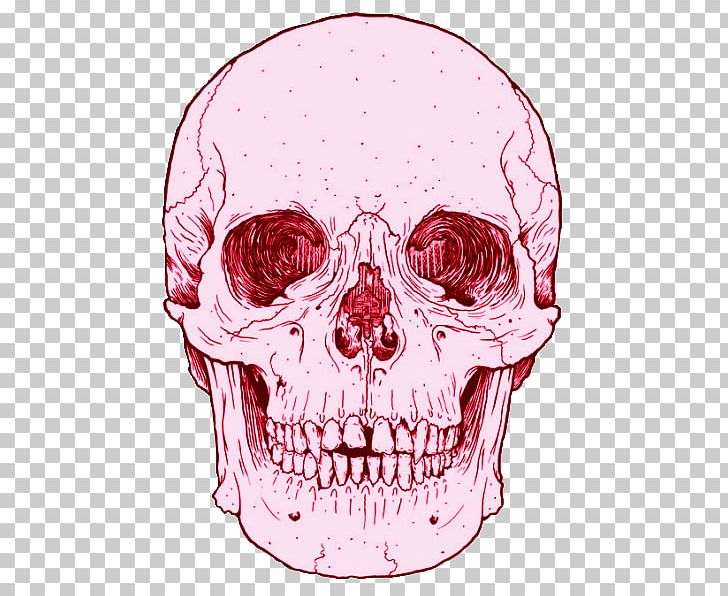 Sticker Wall Decal Calavera Label PNG, Clipart, Art, Bone, Bumper Sticker, Calavera, Decal Free PNG Download