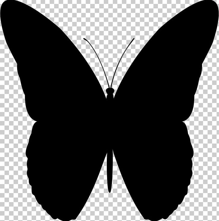 Butterfly PNG, Clipart, Art, Arthropod, Base 64, Black, Black And White Free PNG Download