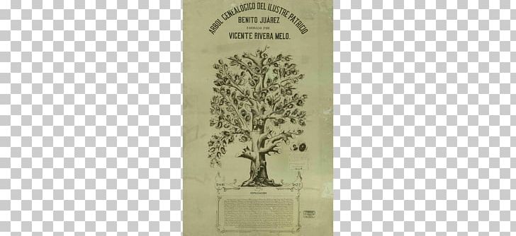 Genealogy Family Tree History Mexico Science PNG, Clipart, Blogger, Description, Family Tree, Genealogy, History Free PNG Download