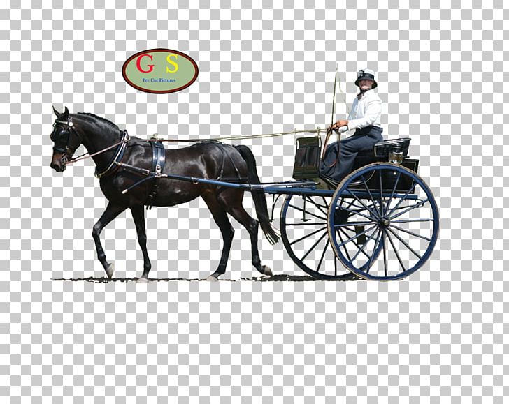 Horse Harnesses Horse And Buggy Stallion Chariot PNG, Clipart, Animals, Bit, Bridle, Carriage, Cart Free PNG Download