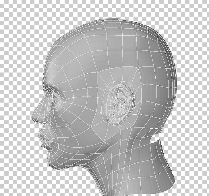 Product Design Forehead Jaw PNG, Clipart, Bone, Face, Forehead, Head, Jaw Free PNG Download