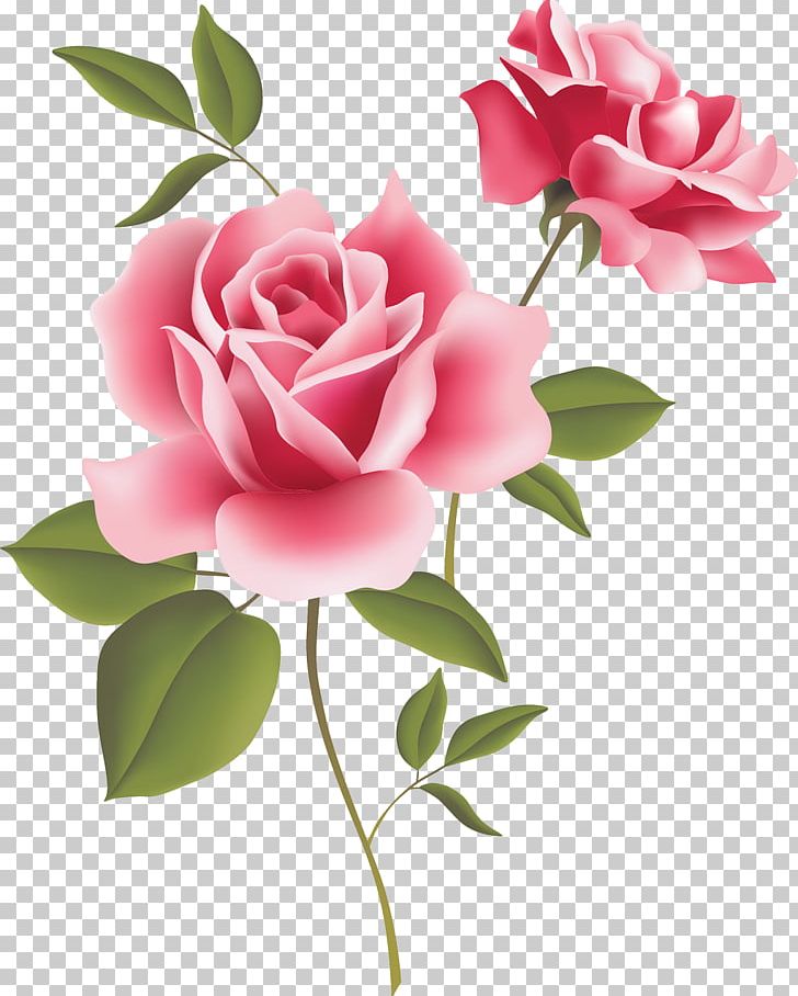 Vintage Roses: Beautiful Varieties For Home And Garden Pink PNG, Clipart, Artificial Flower, Border Frames, Branch, Bud, Cut Flowers Free PNG Download
