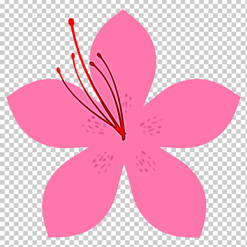 Petal Pink Flower Plant Hibiscus PNG, Clipart, Flower, Hibiscus, Pedicel, Petal, Pink Free PNG Download