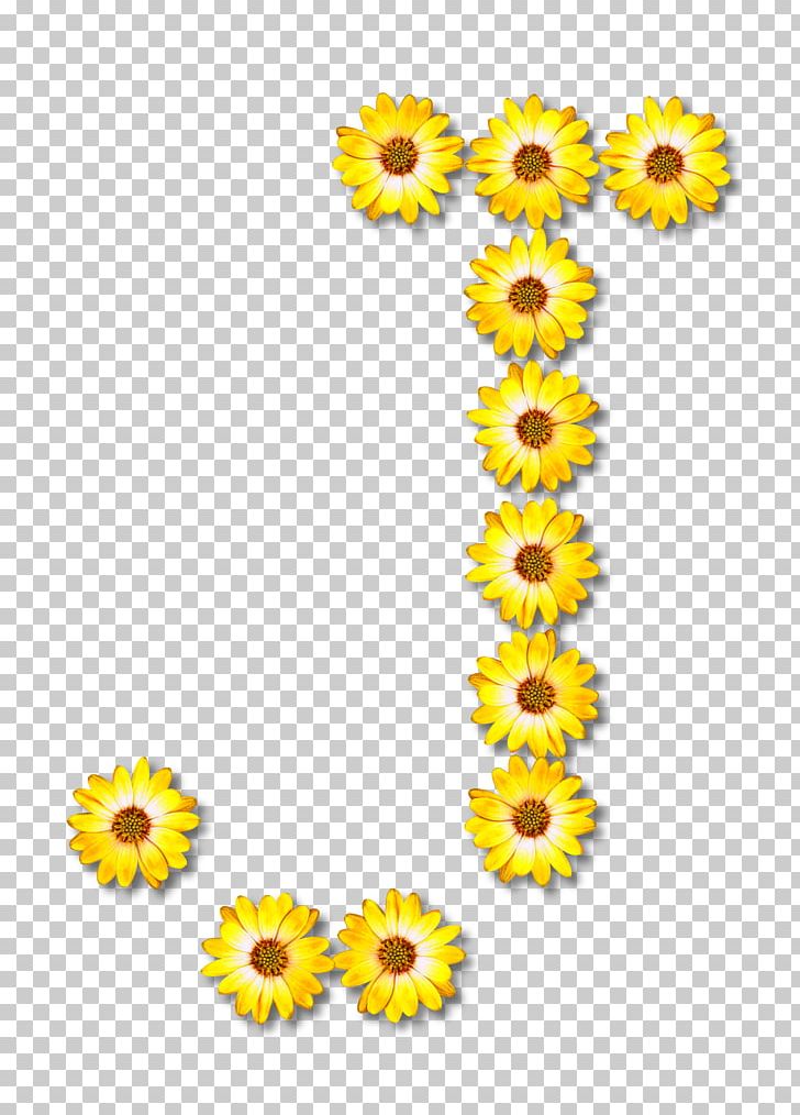 Common Sunflower PNG, Clipart, Alphabet, Clip Art, Clothing, Common Sunflower, Cut Flowers Free PNG Download