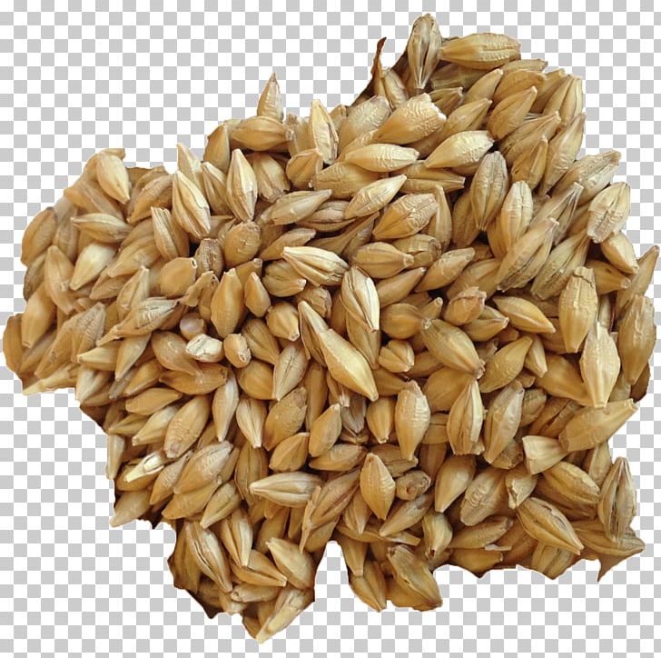 Organic Food Barley Sprouting Sprouted Bread Cereal PNG, Clipart, Avena, Background, Barley, Barley Flour, Bread Free PNG Download