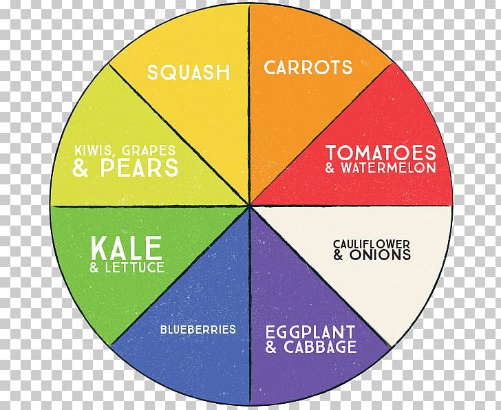 Color Wheel Vegetable Rainbow Fruit PNG, Clipart, Area, Brand, Circle, Color, Color Theory Free PNG Download