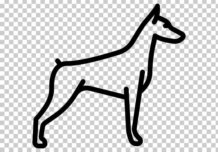 Dobermann Basenji Canidae Puppy Saluki PNG, Clipart, Animals, Area, Basenji, Black, Black And White Free PNG Download