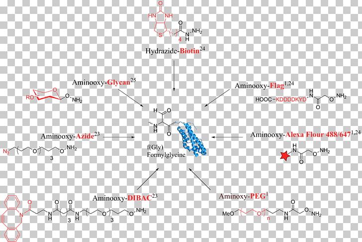 Formylglycine-generating Enzyme Aldehyde Tag Hydrazide Schiff Base PNG, Clipart, Aldehyde Tag, Angle, Area, Cysteine, Diagram Free PNG Download