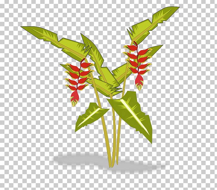 Heliconia Psittacorum PNG, Clipart, Bird Of Paradise Flower, Clip Art, Computer Icons, Desktop Wallpaper, Editing Free PNG Download