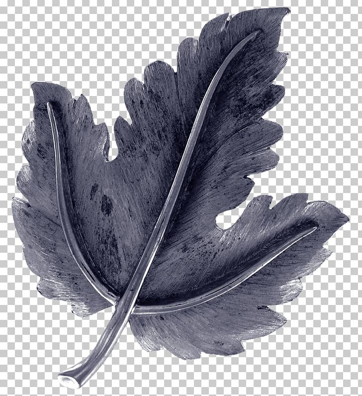 Leaf White PNG, Clipart, Black And White, Feather, Leaf, Maple, Monochrome Free PNG Download
