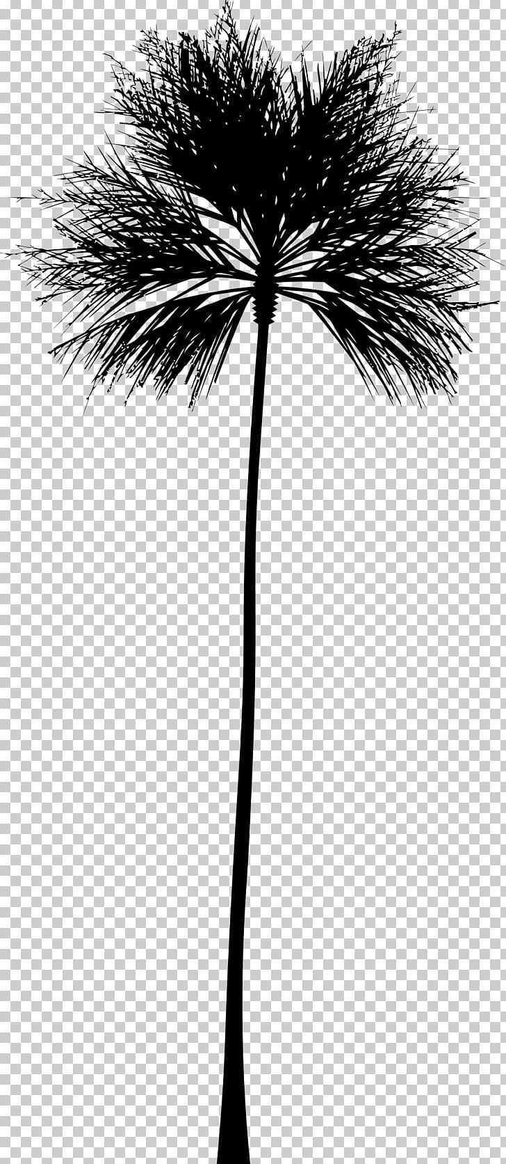 Arecaceae Silhouette Tree PNG, Clipart, Animals, Arecaceae, Arecales, Black And White, Borassus Flabellifer Free PNG Download