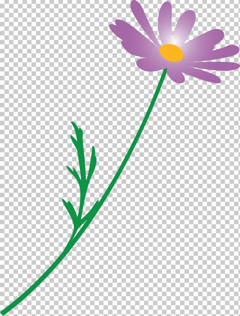 Marguerite Flower Spring Flower PNG, Clipart, Camomile, Chamomile, Daisy, Daisy Family, Flower Free PNG Download