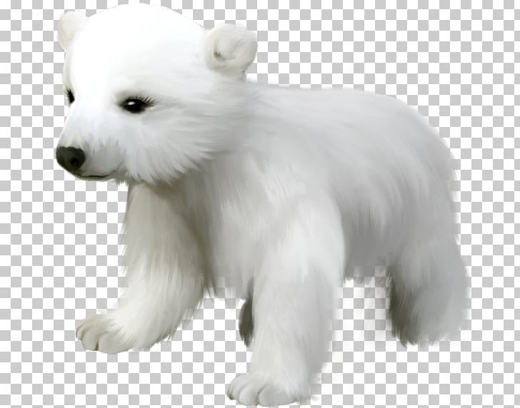 Baby Polar Bear Giant Panda PNG, Clipart, Animal, Animals, Baby Polar Bear, Bear, Carnivoran Free PNG Download